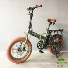 36V 250W Brushless Aluminum Alloy Chinese Folding Electric Bike